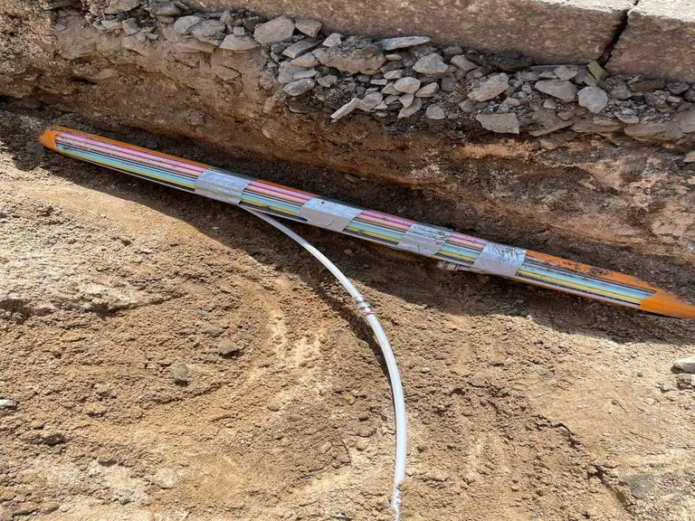 Category 2 Image 1